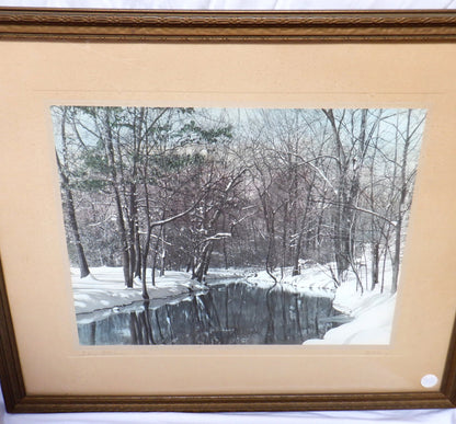 Vintage Hand-Tinted Winter Forest Photograph by Whiting: 'SILVER GLADES, Nova Scotia'