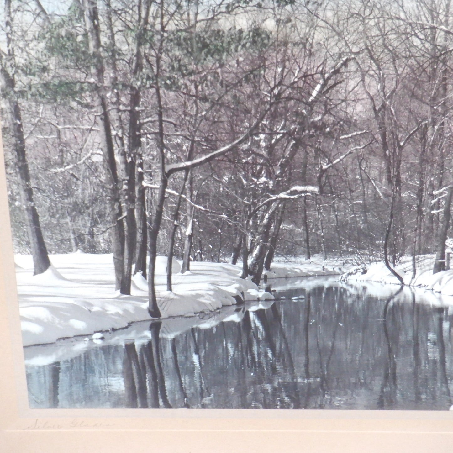 Vintage Hand-Tinted Winter Forest Photograph by Whiting: 'SILVER GLADES, Nova Scotia'