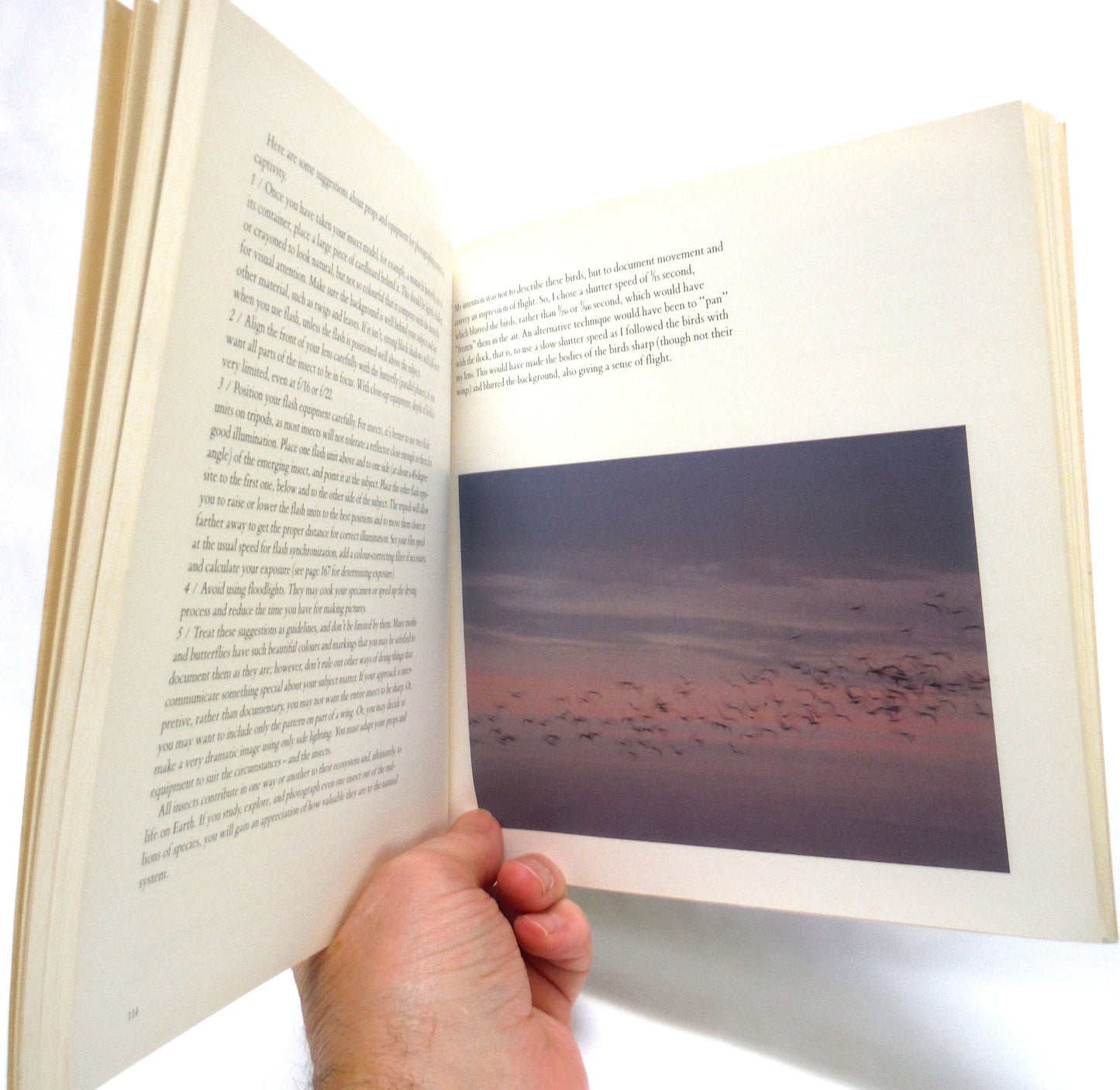 PHOTOGRAPHY OF NATURAL THINGS, by Freeman Patterson, 1989