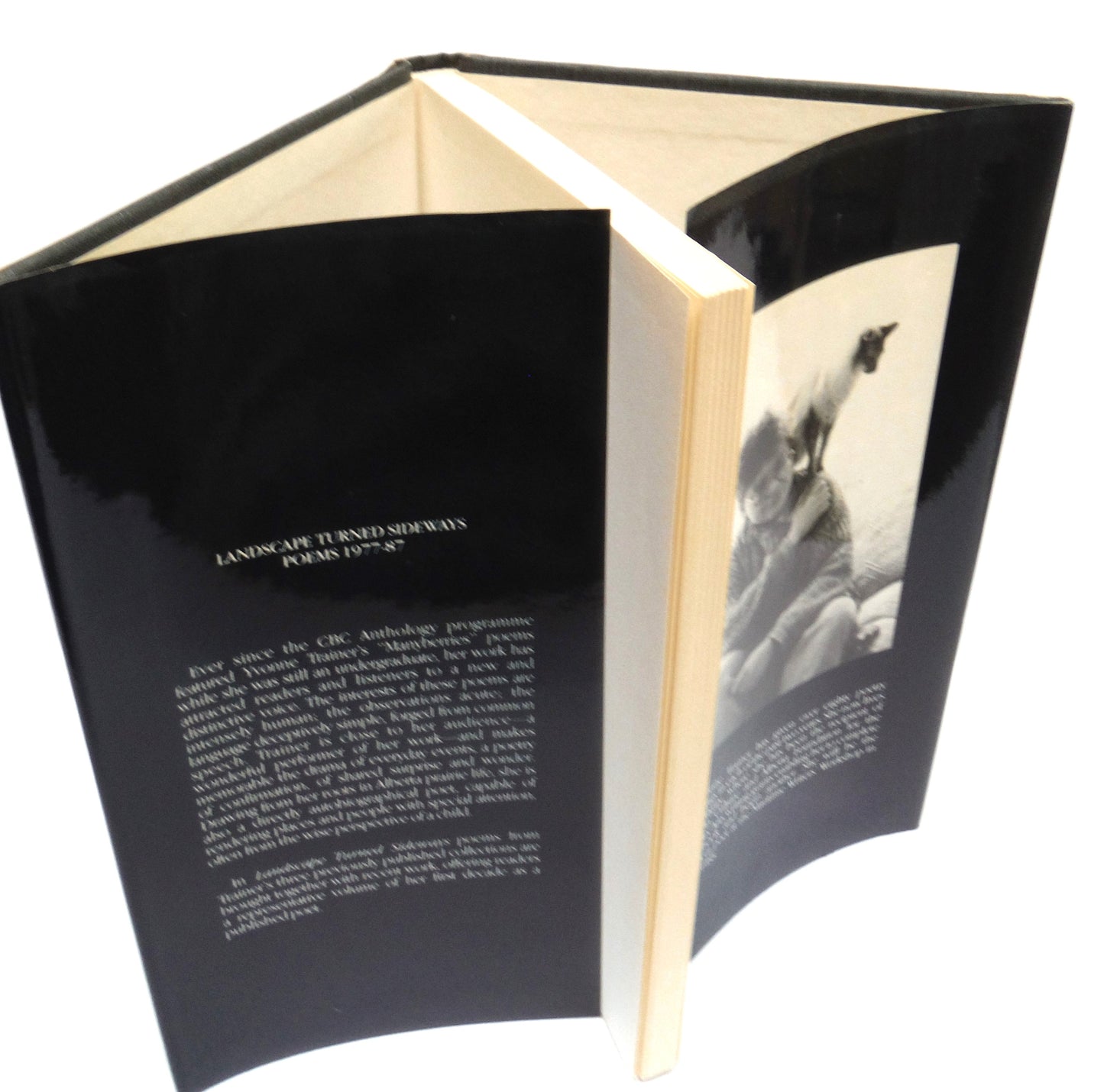 LANDSCAPE TURNED SIDEWAYS, Collected Poems 1977-1987, by Yvonne Trainer (1st Ed. SIGNED)