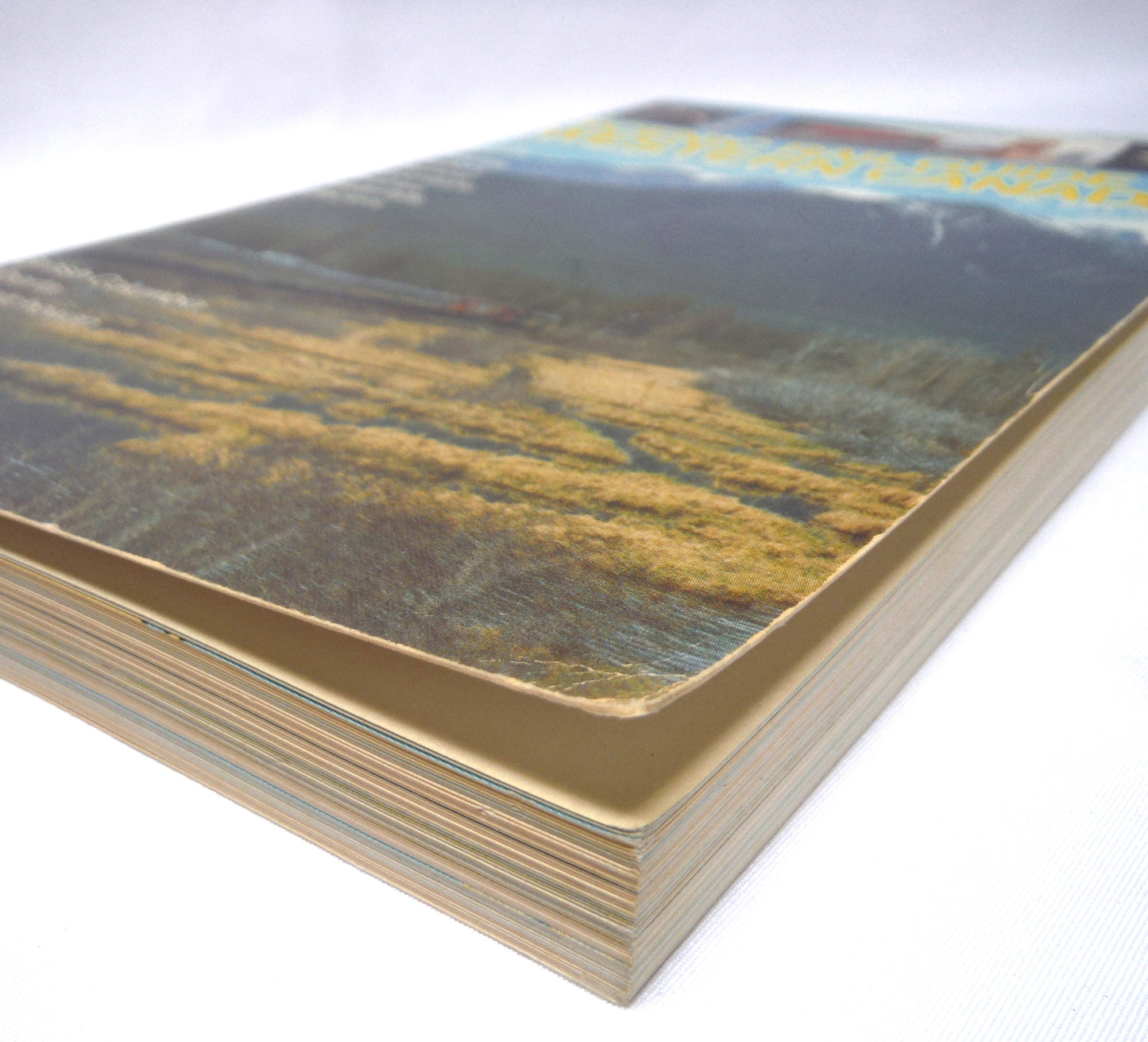 SCENIC RAIL GUIDE TO WESTERN CANADA, with Connecting Road Routes, by Bill Coo (1982 1st Ed.)