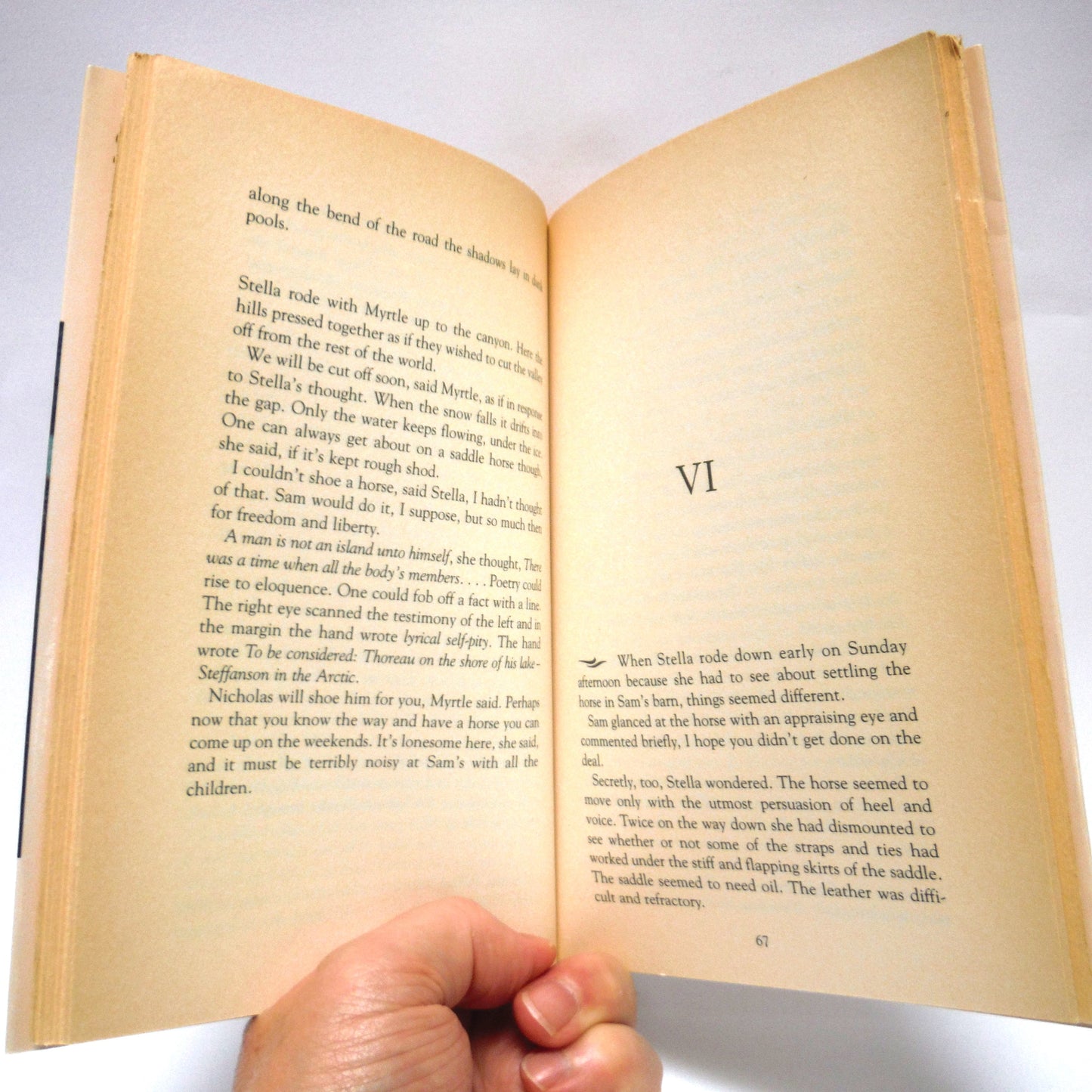 DEEP HOLLOW CREEK, A Novel by Sheila Watson (1992 1st Ed.)