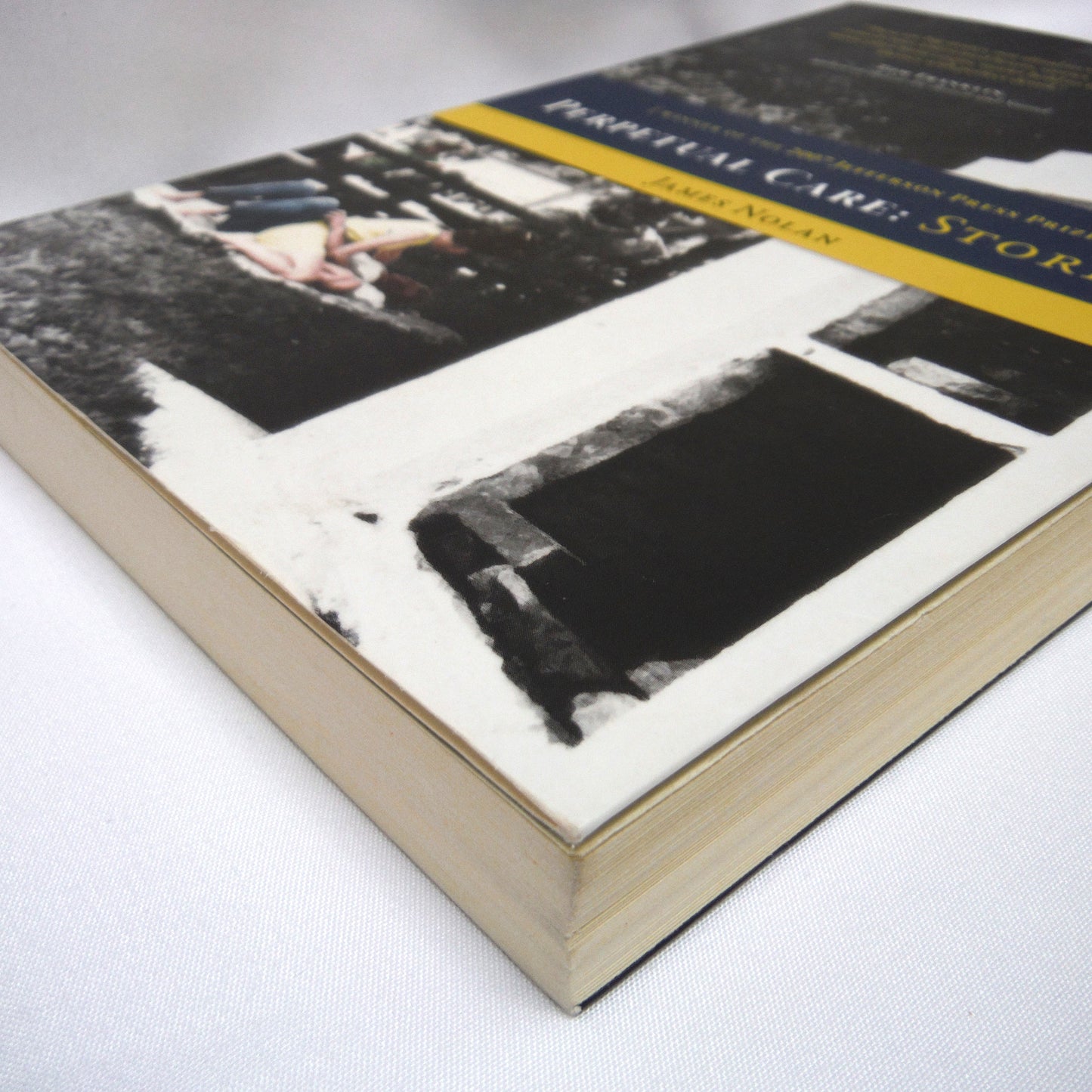 PERPETUAL CARE: STORIES by James Nolan (2000 1st Ed.)