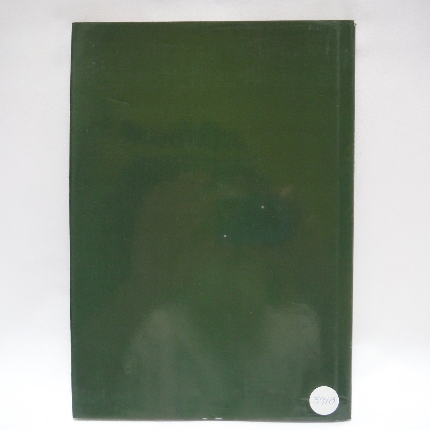 LIGHT IN THE WILDERNESS, A Photographic Journal by Paul von Baich (2000 1st Ed.)
