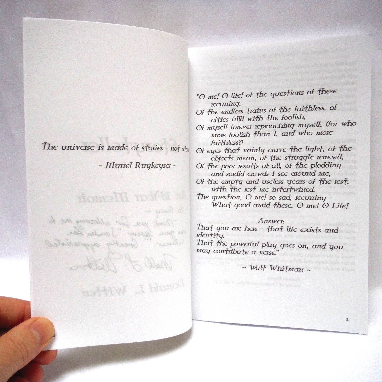 STORYTELLER, An 18-Year Memoir, by Donald L. Witten (1st Ed. SIGNED)