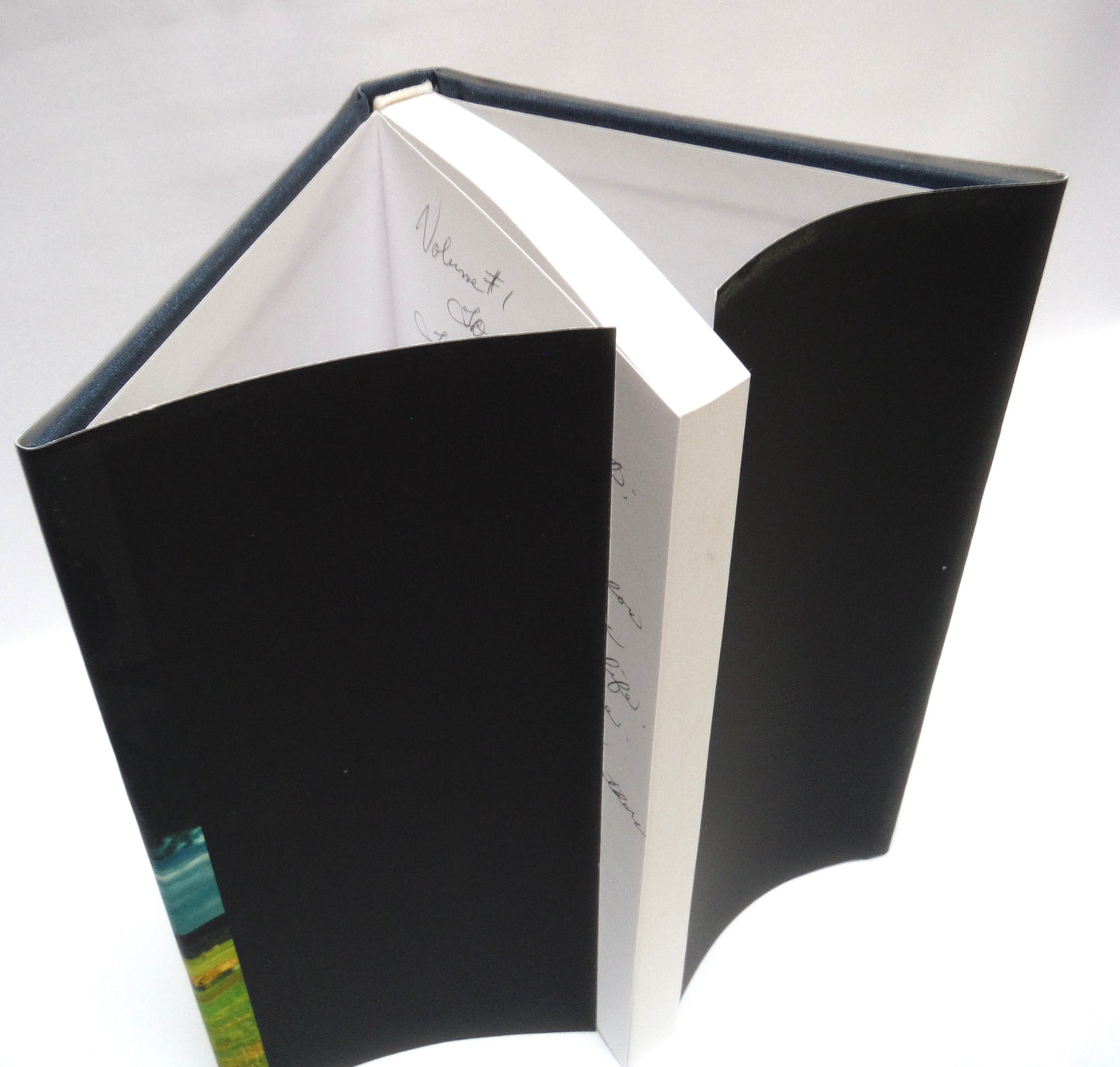 NOTHING COULD HAVE PREPARED ME FOR THIS, Stories by Lynda Drysdale  (1st Ed. SIGNED)