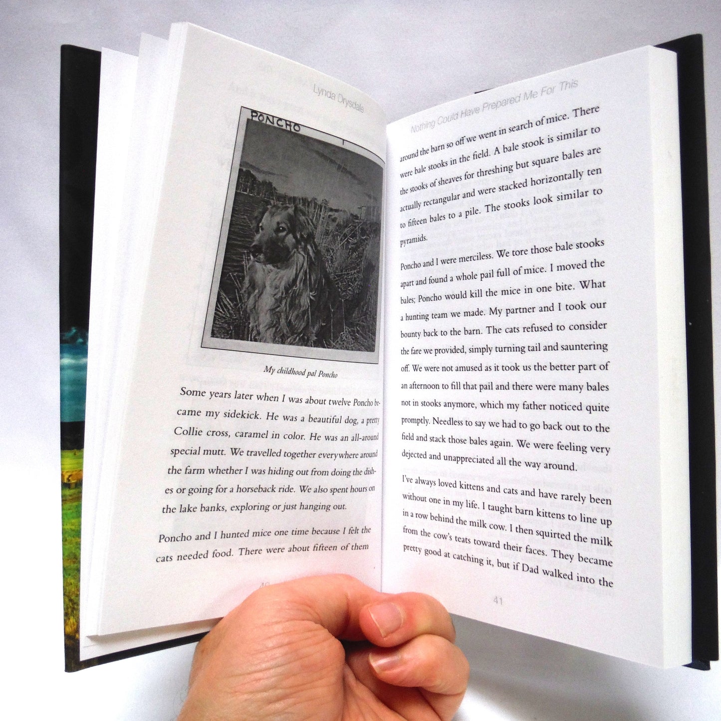 NOTHING COULD HAVE PREPARED ME FOR THIS, Stories by Lynda Drysdale  (1st Ed. SIGNED)