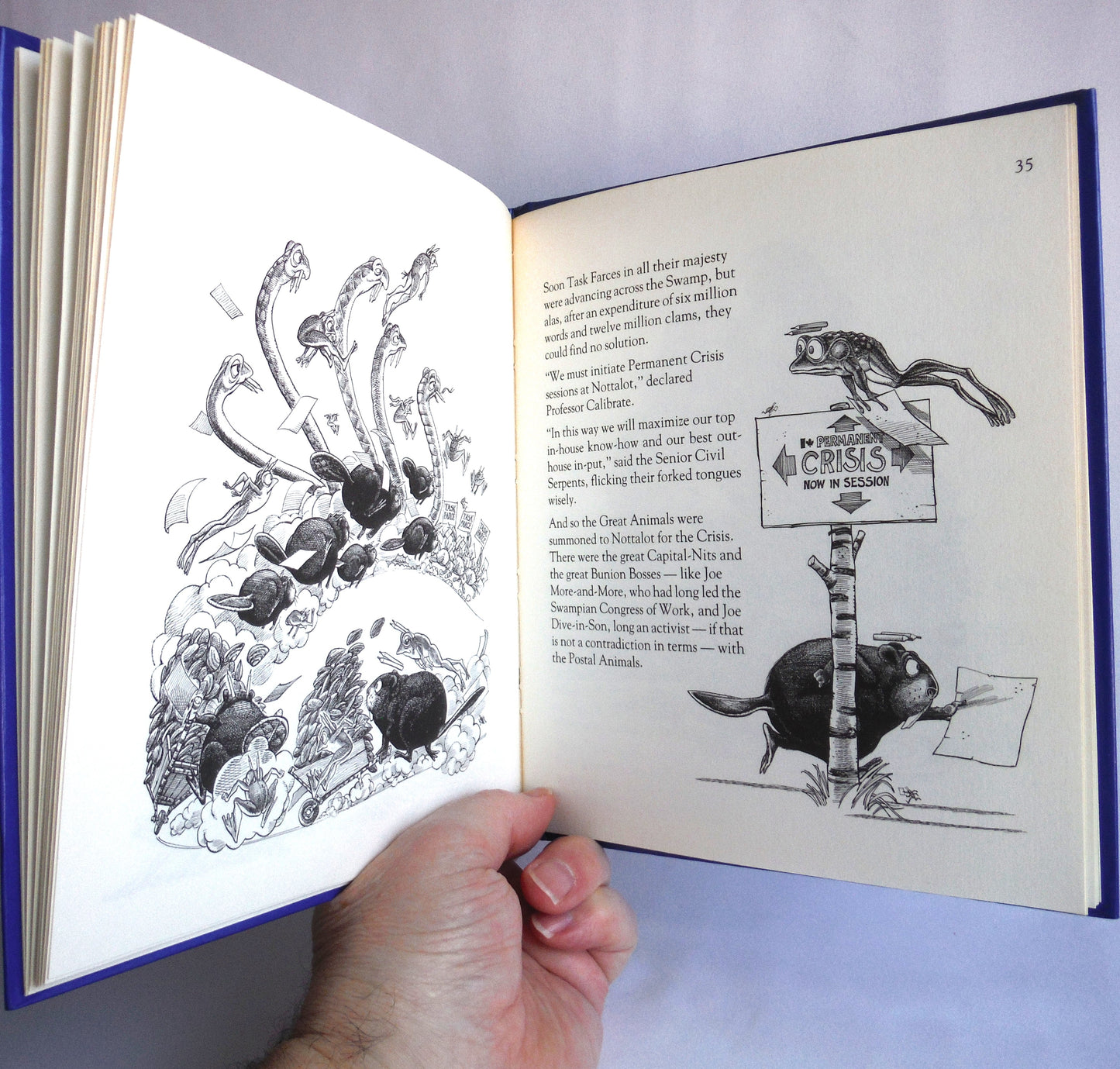 SWAMP SONG, Political Humour by Stanley Burke, Illustrations by Roy Peterson (1st Ed. SIGNED)
