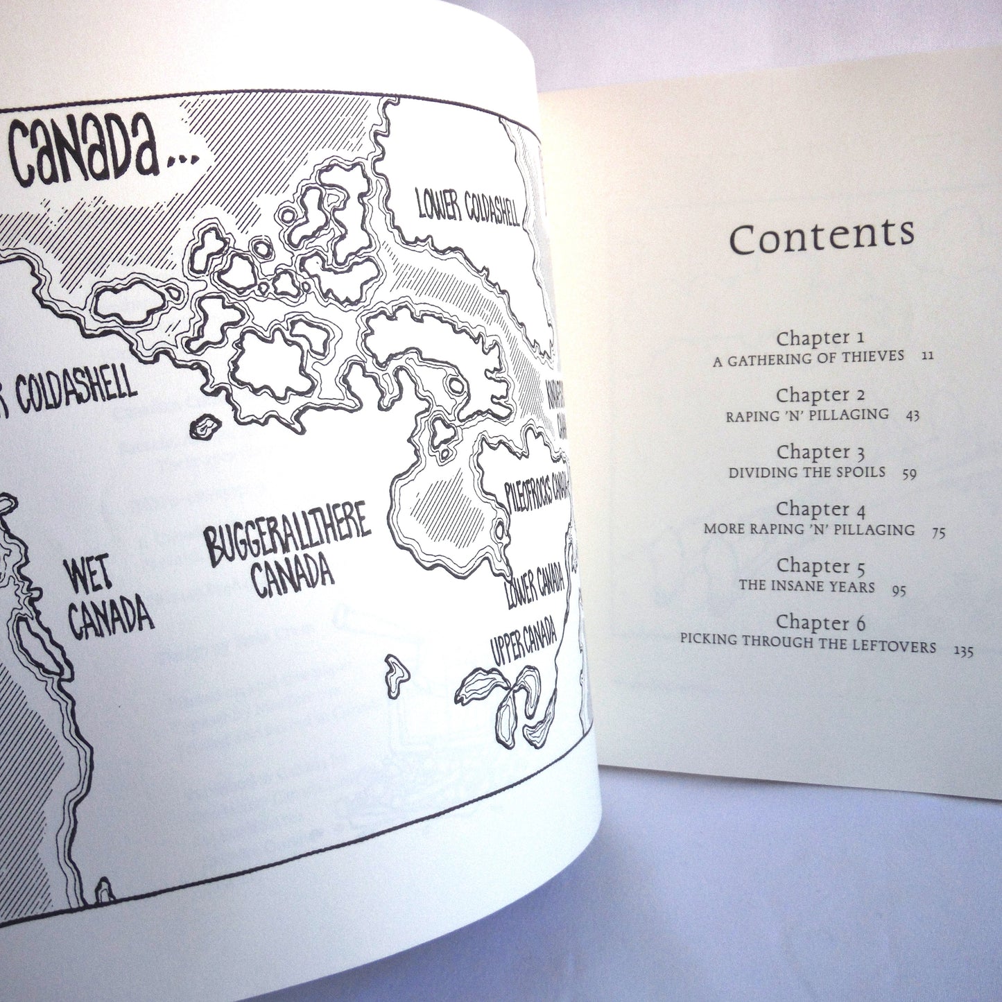 THERE GOES THE NEIGHBOURHOOD, An Irreverent History of Canada, Political Cartoons by Adrian Raeside (1992 1st Ed.)