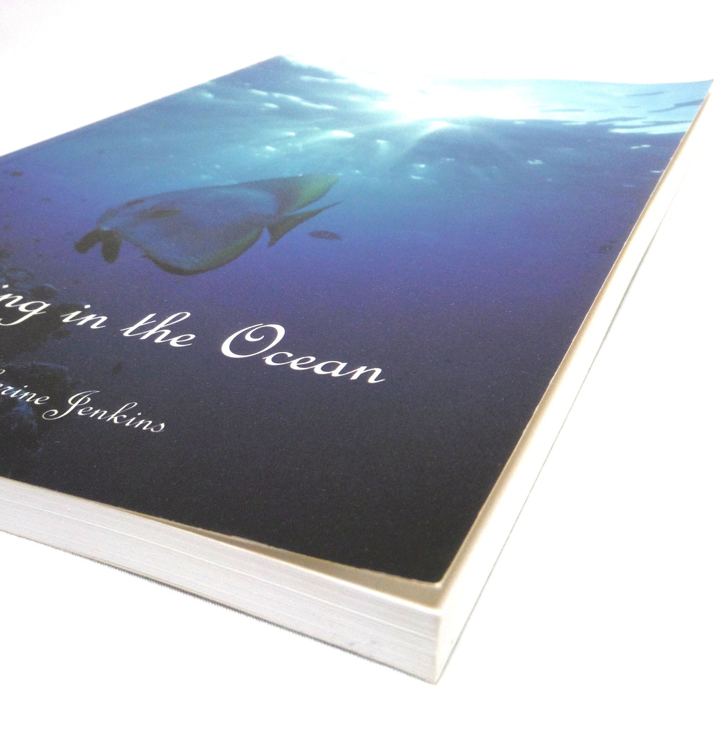 SWIMMING IN THE OCEAN, A Novel by Catherine Jenkins (1st Ed. SIGNED)