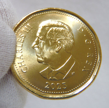2023 Canadian $1 Loonie Coin, Featuring the First Strike King Charles III Brilliant Uncirculated Coin