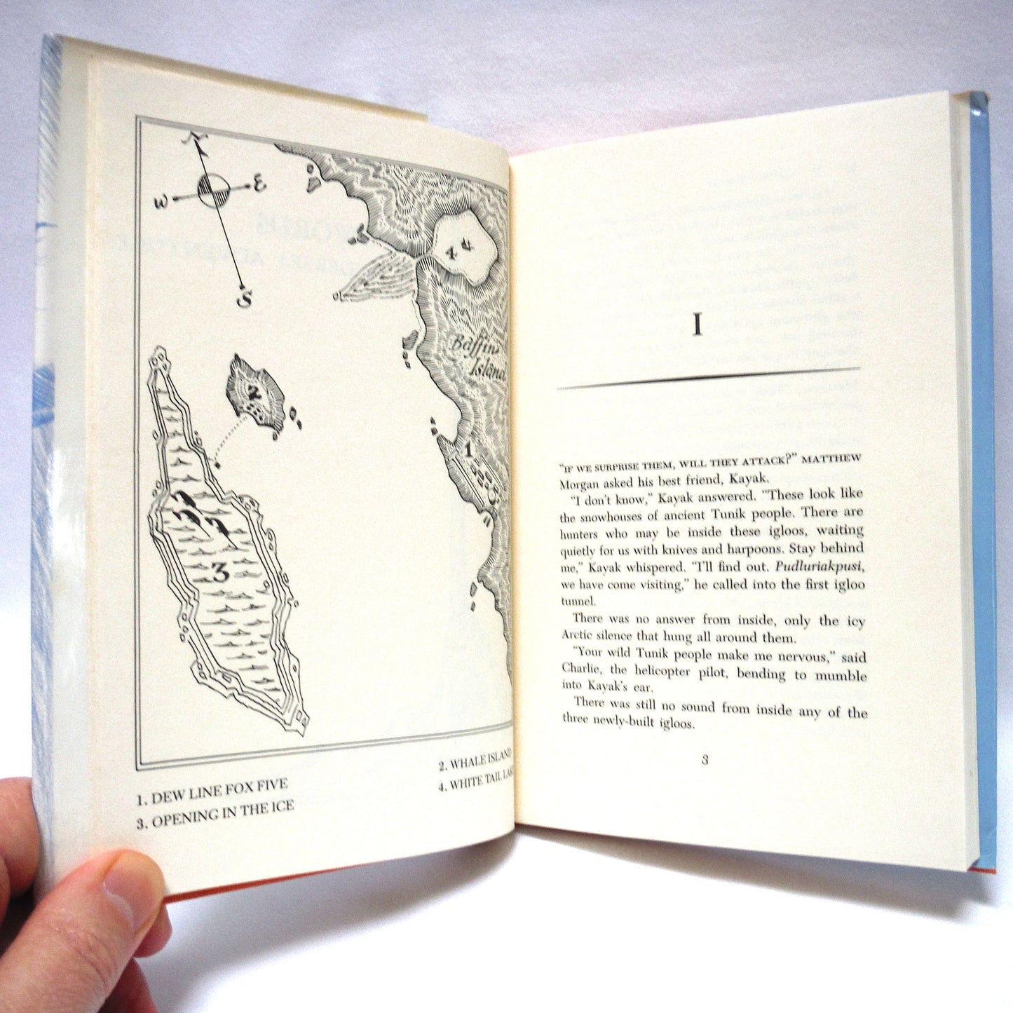 ICE SWORDS, AN UNDERSEA ADVENTURE, by James Houston (1st Ed. SIGNED)