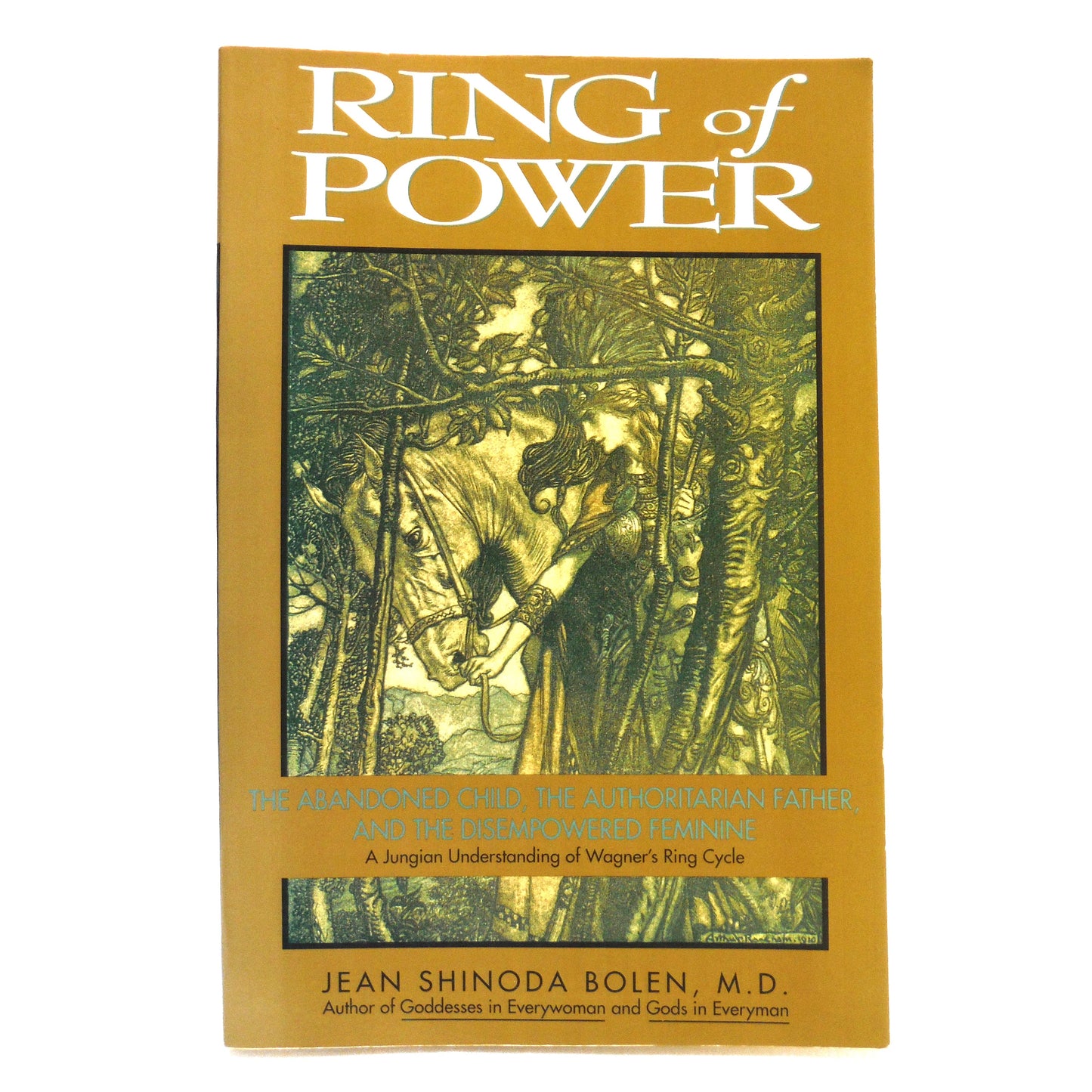 RING OF FIRE, The Abandoned Child, The Authoritarian Father, and the Disempowered Feminine, by Jean Shinoda Bolen, M.D. (1992 1st Ed.)