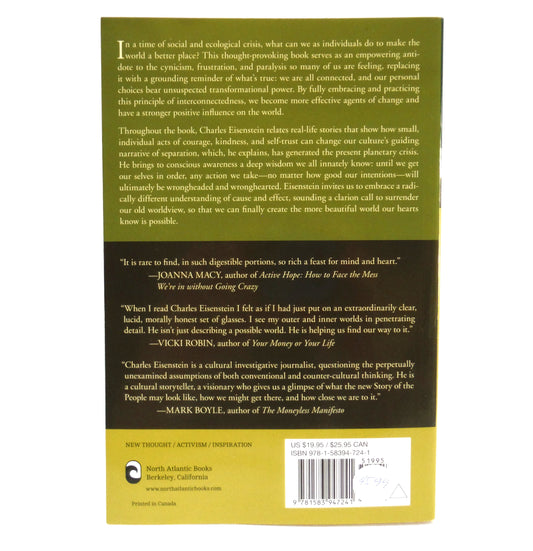 THE MORE BEAUTIFUL WORLD OUR HEARTS KNOW IS POSSIBLE, by Charles Eisenstein (2013 1st Ed.)