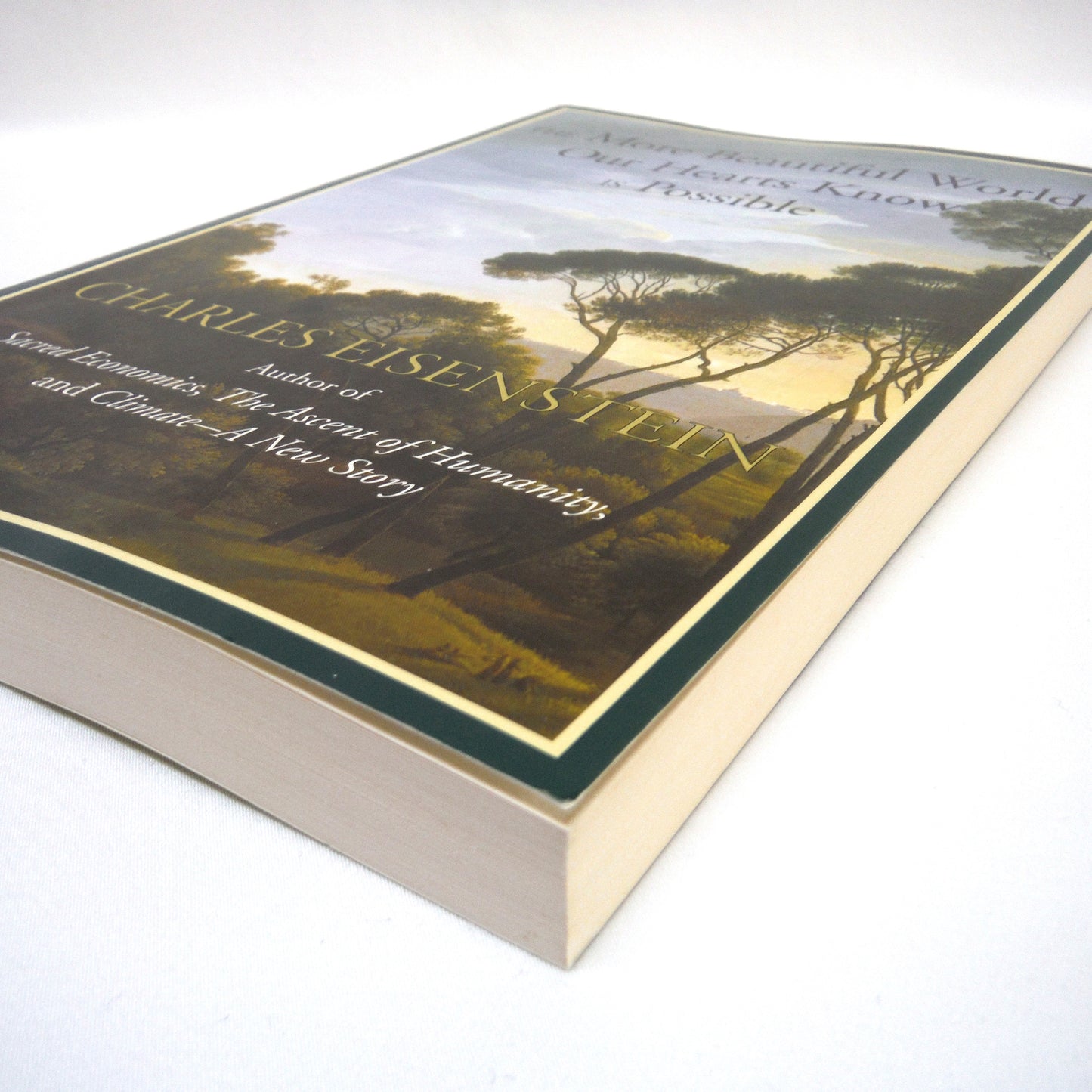 THE MORE BEAUTIFUL WORLD OUR HEARTS KNOW IS POSSIBLE, by Charles Eisenstein (2013 1st Ed.)