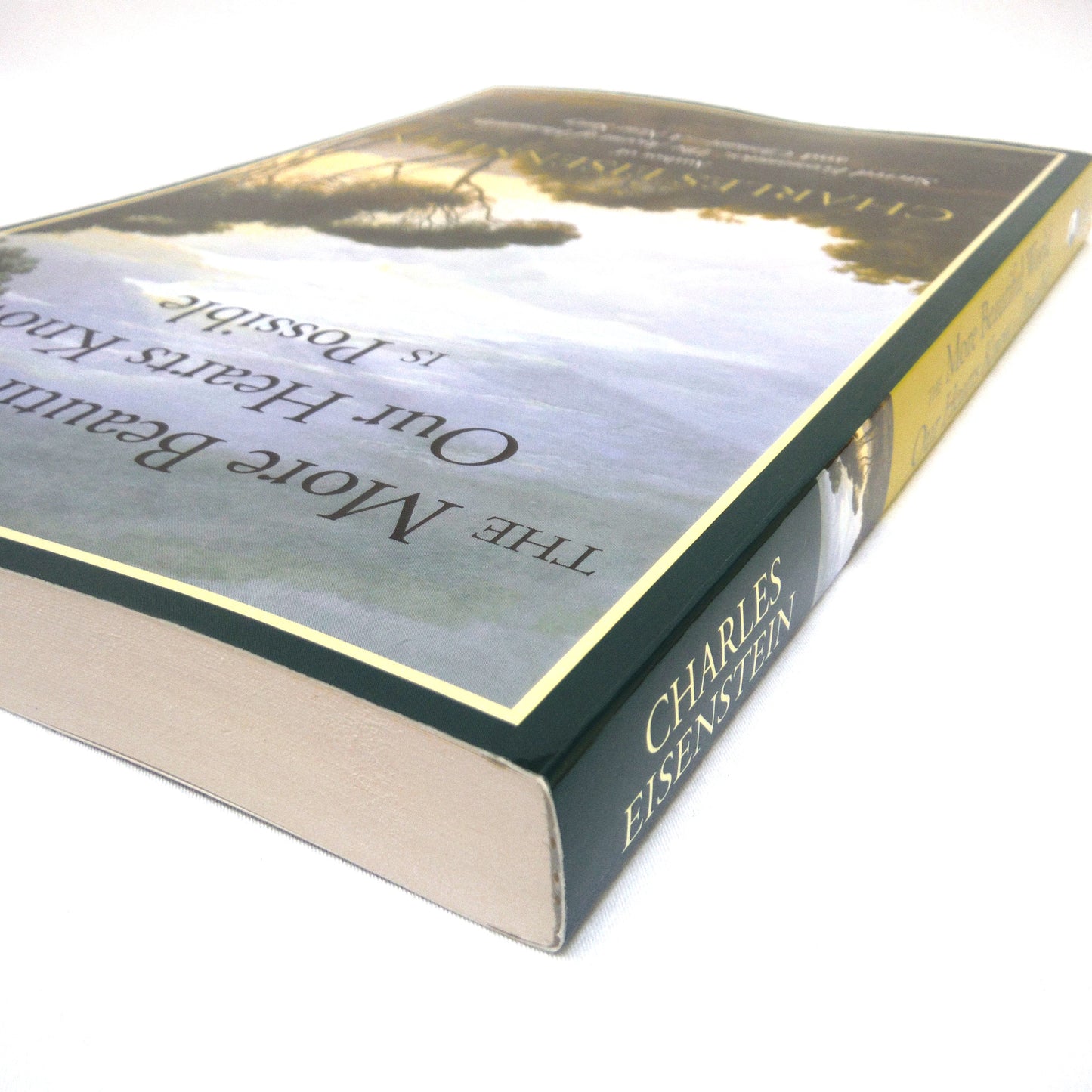 THE MORE BEAUTIFUL WORLD OUR HEARTS KNOW IS POSSIBLE, by Charles Eisenstein (2013 1st Ed.)