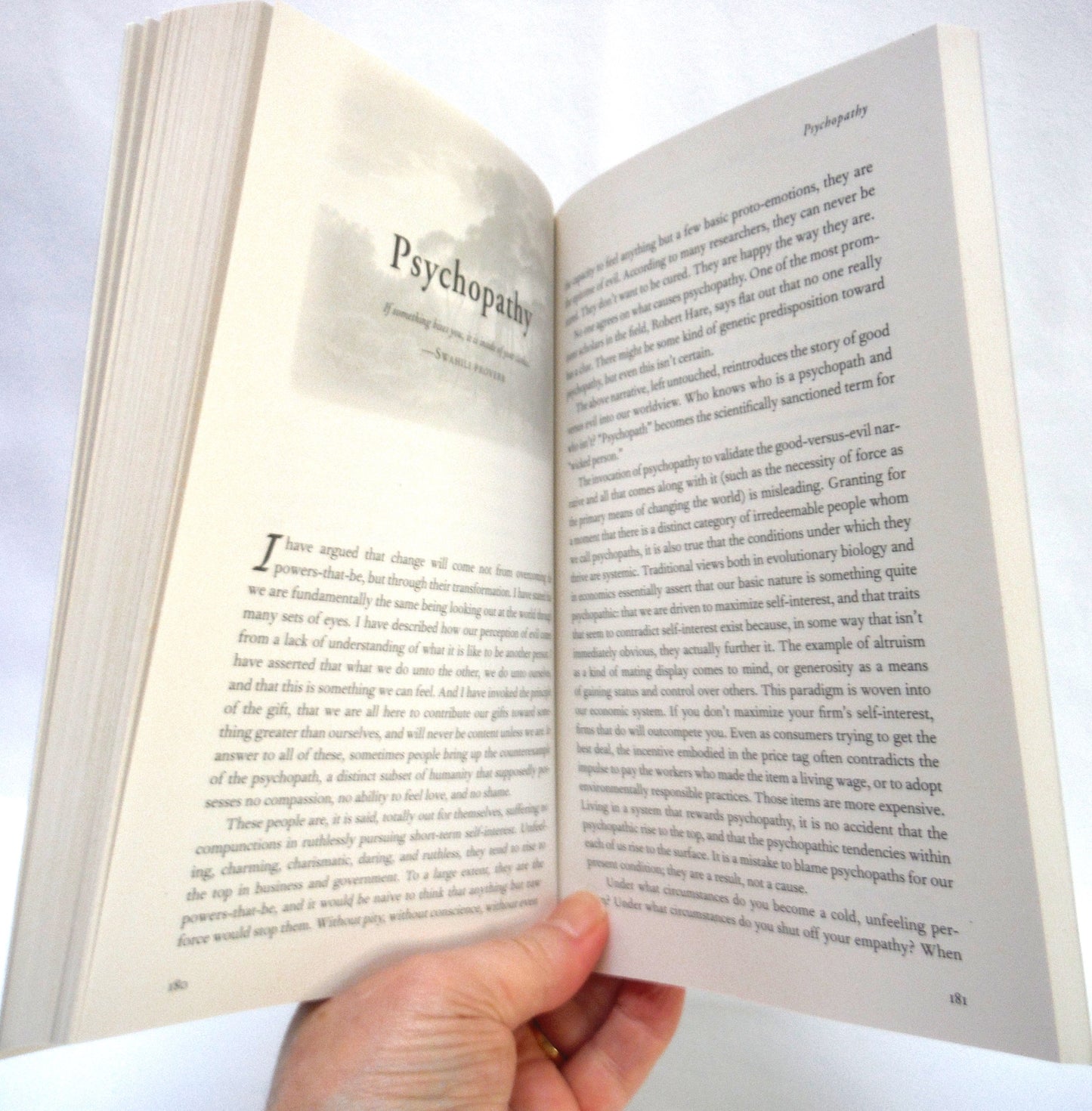 THE MORE BEAUTIFUL WORLD OUR HEARTS KNOW IS POSSIBLE, by Charles Eisenstein (2013 1st Ed.)