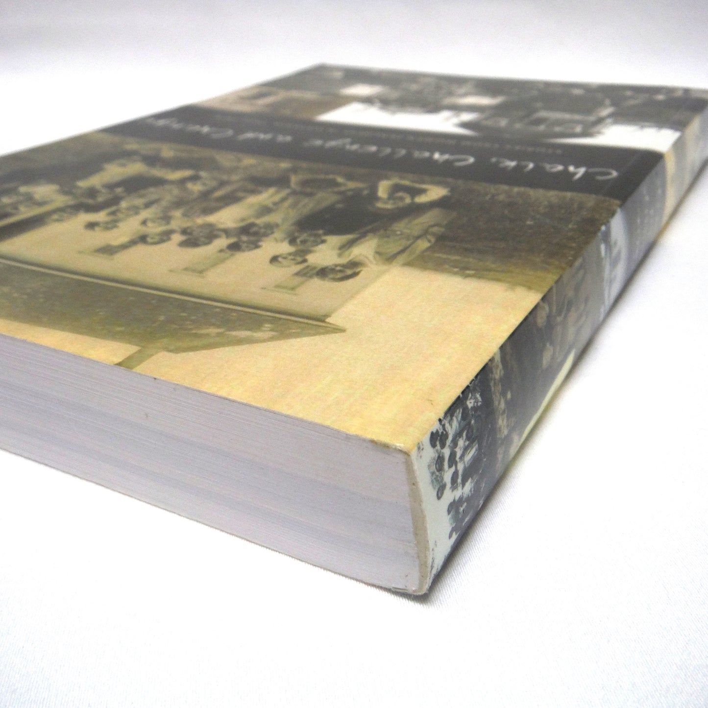 CHALK, CHALLENGE AND CHANGE, Stories From Women Teachers in Ontario 1920-1979, Compiled by Gillian Hewitt (2006 1st Ed.)