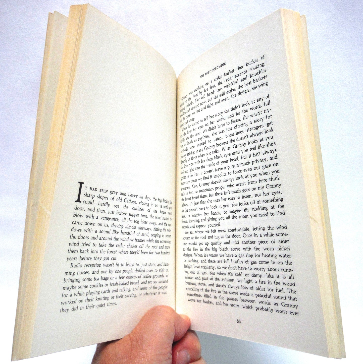 DAUGHTERS OF COPPER WOMAN, Short Stories by Anne Cameron (1981 1st Ed.)