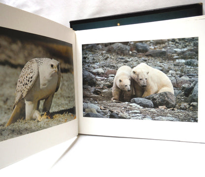 THE ARCTIC: Photography and Text by Fred Bruemmer, and The Montreal Star (1974 1st Ed.)