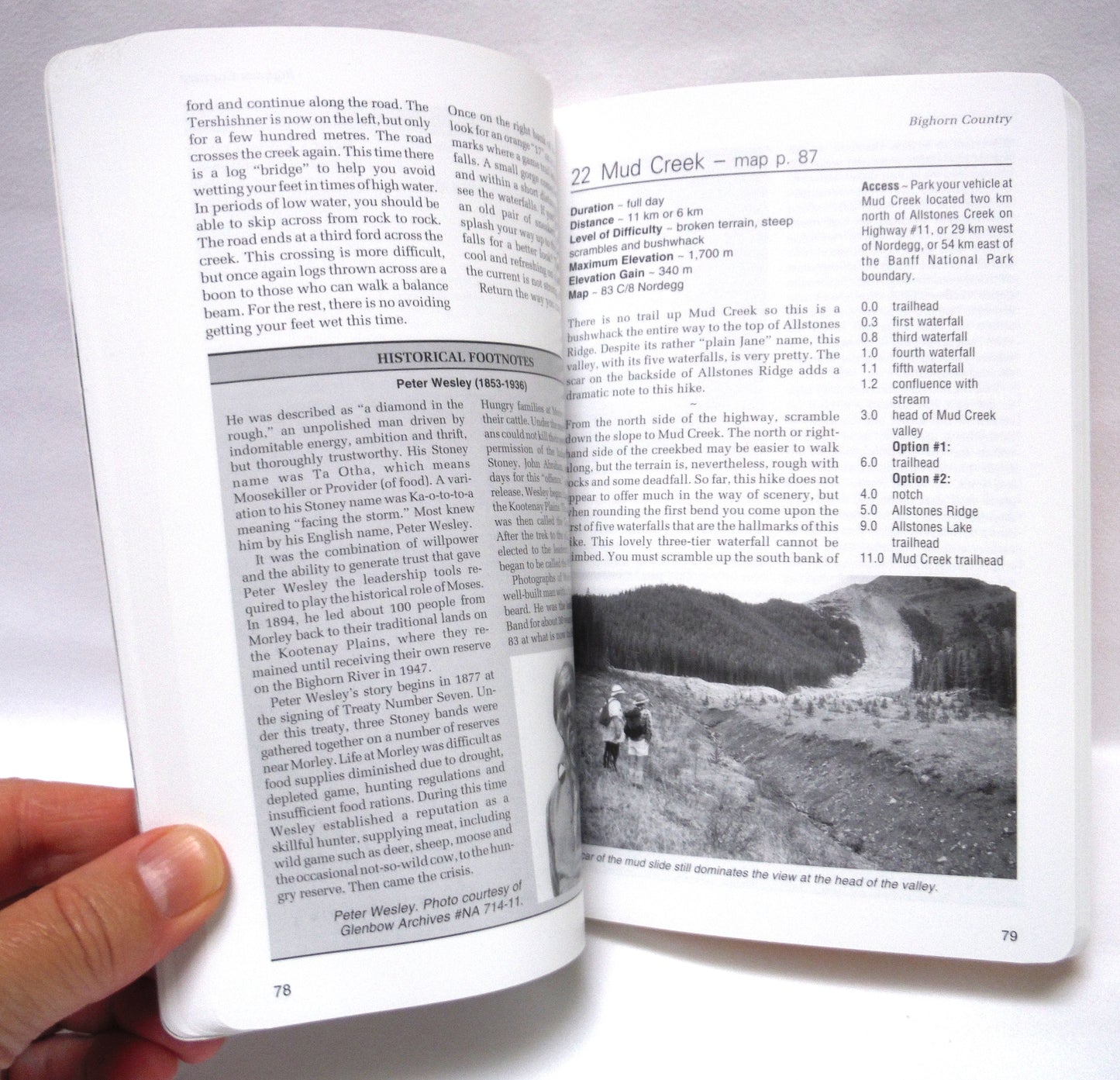 THE DAVID THOMPSON HIGHWAY HIKING GUIDE, by Jane Ross and Daniel Kyba (2009 1st Ed.)