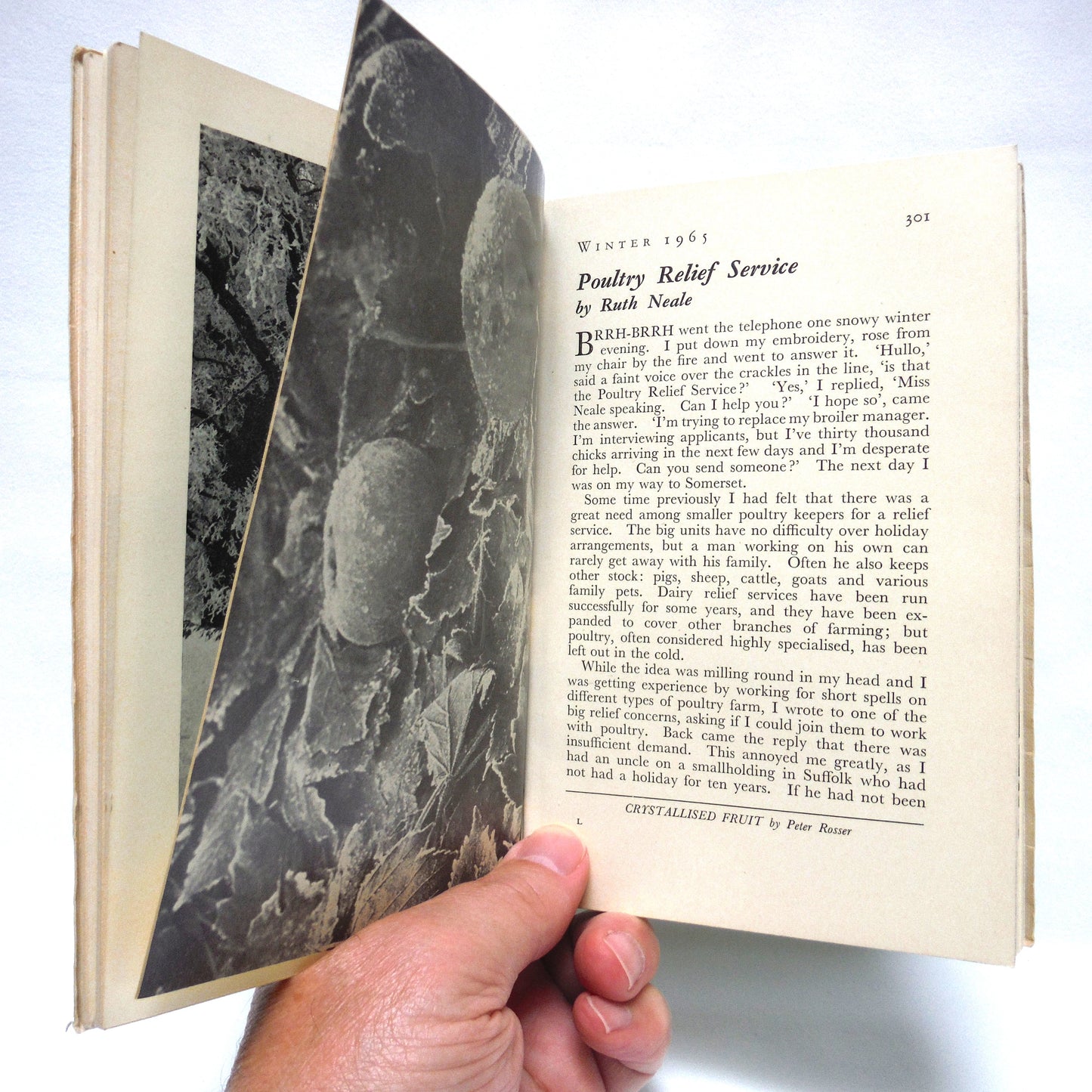 THE COUNTRYMAN, COMES FROM THE COUNTRY, Quarterly Magazine Booklet from Great Britain, by The Bradbury Agnew Press Limited: A PAUL'S SPECIAL 4-PACK OF BOOKS!