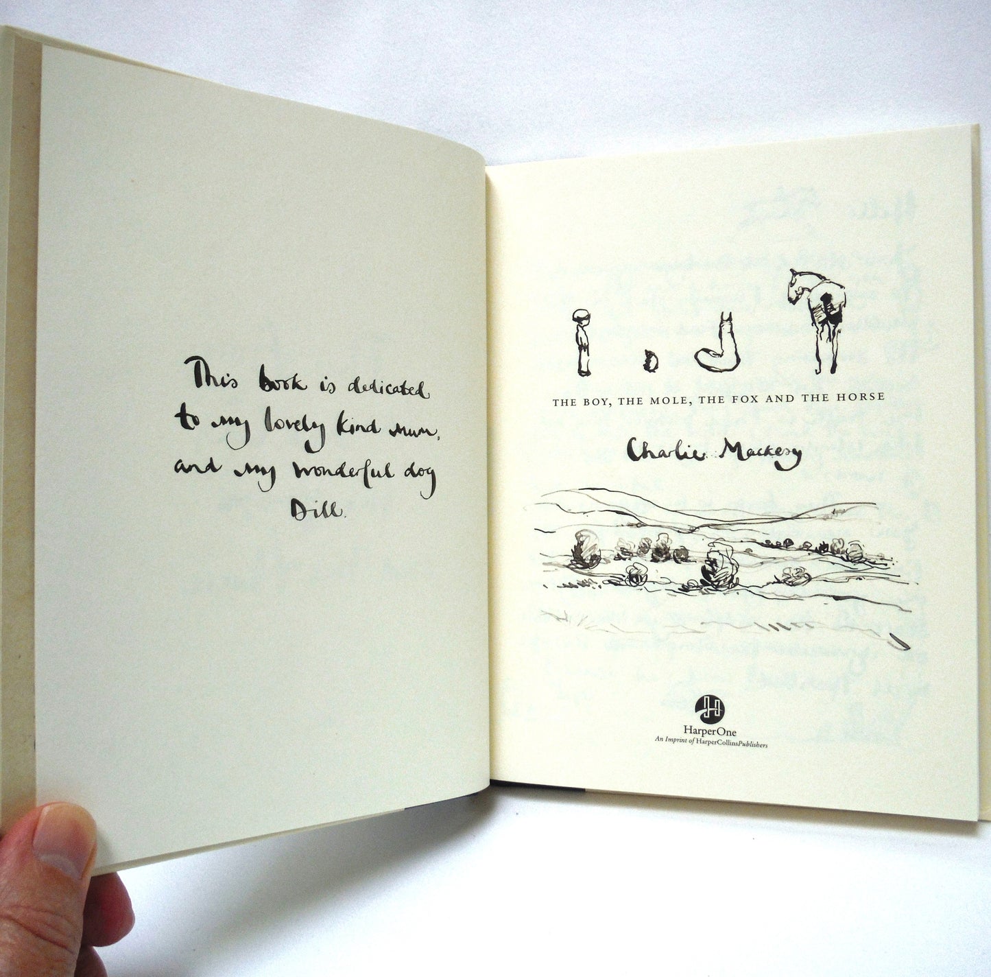 THE BOY, THE MOLE, THE FOX and THE HORSE, A Graphic Novel by Charlie Mackesy (2019 1st Ed.)