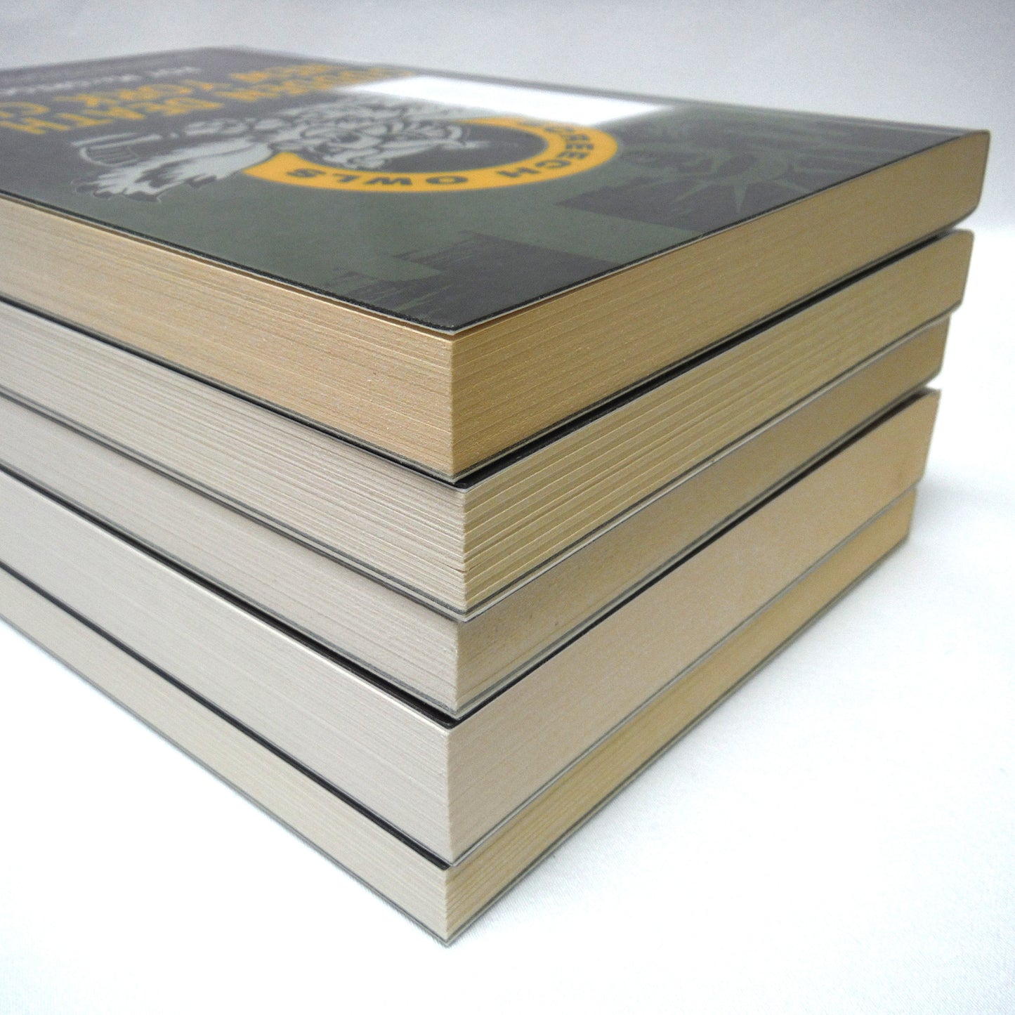 ROY MacGREGOR and THE SCREECH OWLS, A Paul's Special Very Unique Set of 5 Mystery Books!