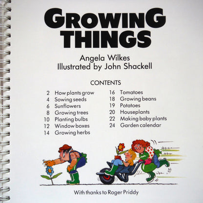 THE USBORNE BOOK OF SIMPLE THINGS TO MAKE AND DO, by Angela Wilkes (1985 1st Ed.)