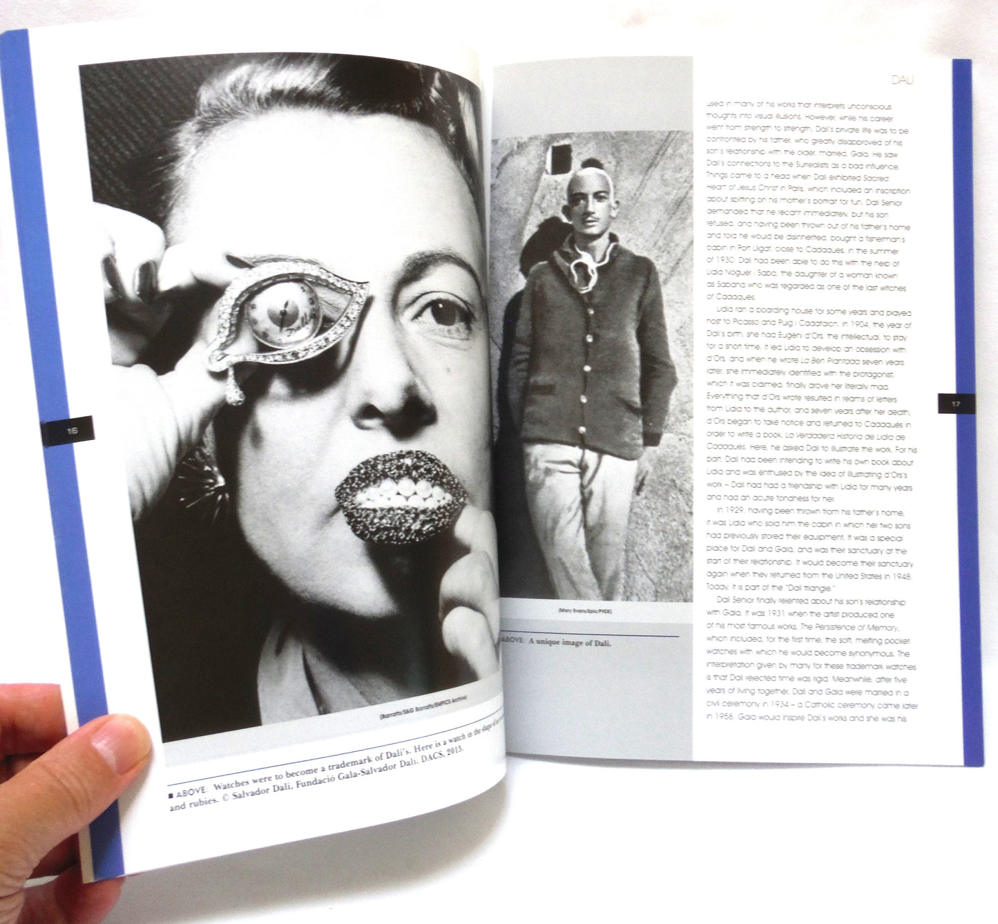 DALI: THE GREAT ARTISTS COLLECTION, by Jessica Toyne (2013 1st Ed.)