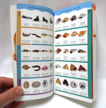 SEASHORE OF BRITISH COLUMBIA, A Lone Pine Field Guide by Ian Sheldon (1998 1st Ed.)