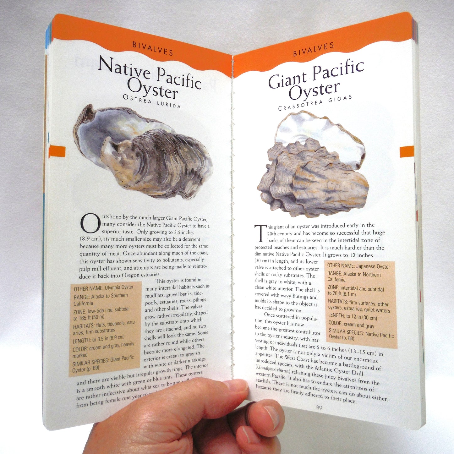 SEASHORE OF BRITISH COLUMBIA, A Lone Pine Field Guide by Ian Sheldon (1998 1st Ed.)