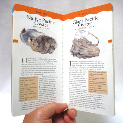 SEASHORE OF BRITISH COLUMBIA, A Lone Pine Field Guide by Ian Sheldon (1998 1st Ed.)