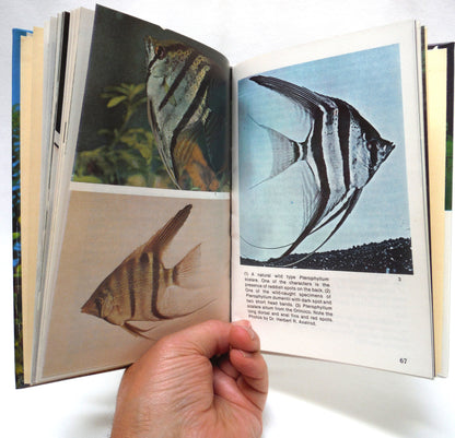 FRESHWATER ANGELFISHES FULL-COLOUR POCKET GUIDE KW-408, by Dr. Herbert R. Axelrod and Dr. Warren E. Burgess  (1995 Edition)