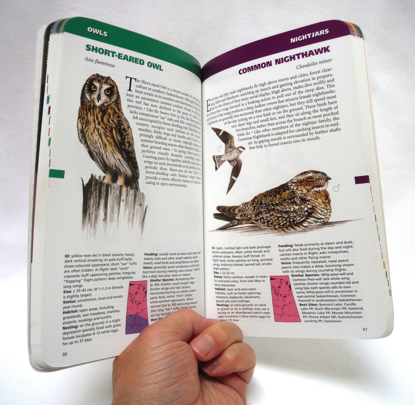 SASKATCHEWAN BIRDS, A Quick Guide to the Bird Groups, by  Alan Smith (2000 1st Ed.)