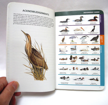 SASKATCHEWAN BIRDS, A Quick Guide to the Bird Groups, by  Alan Smith (2000 1st Ed.)