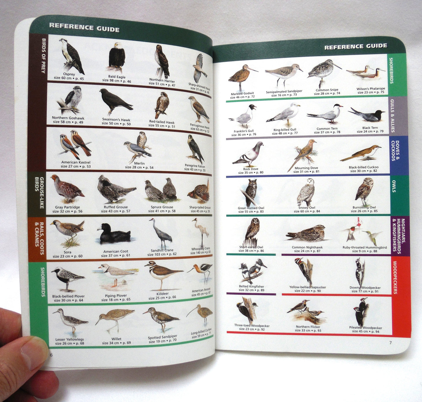 SASKATCHEWAN BIRDS, A Quick Guide to the Bird Groups, by  Alan Smith (2000 1st Ed.)