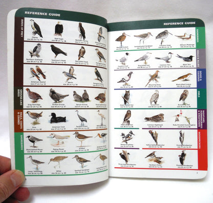 SASKATCHEWAN BIRDS, A Quick Guide to the Bird Groups, by  Alan Smith (2000 1st Ed.)
