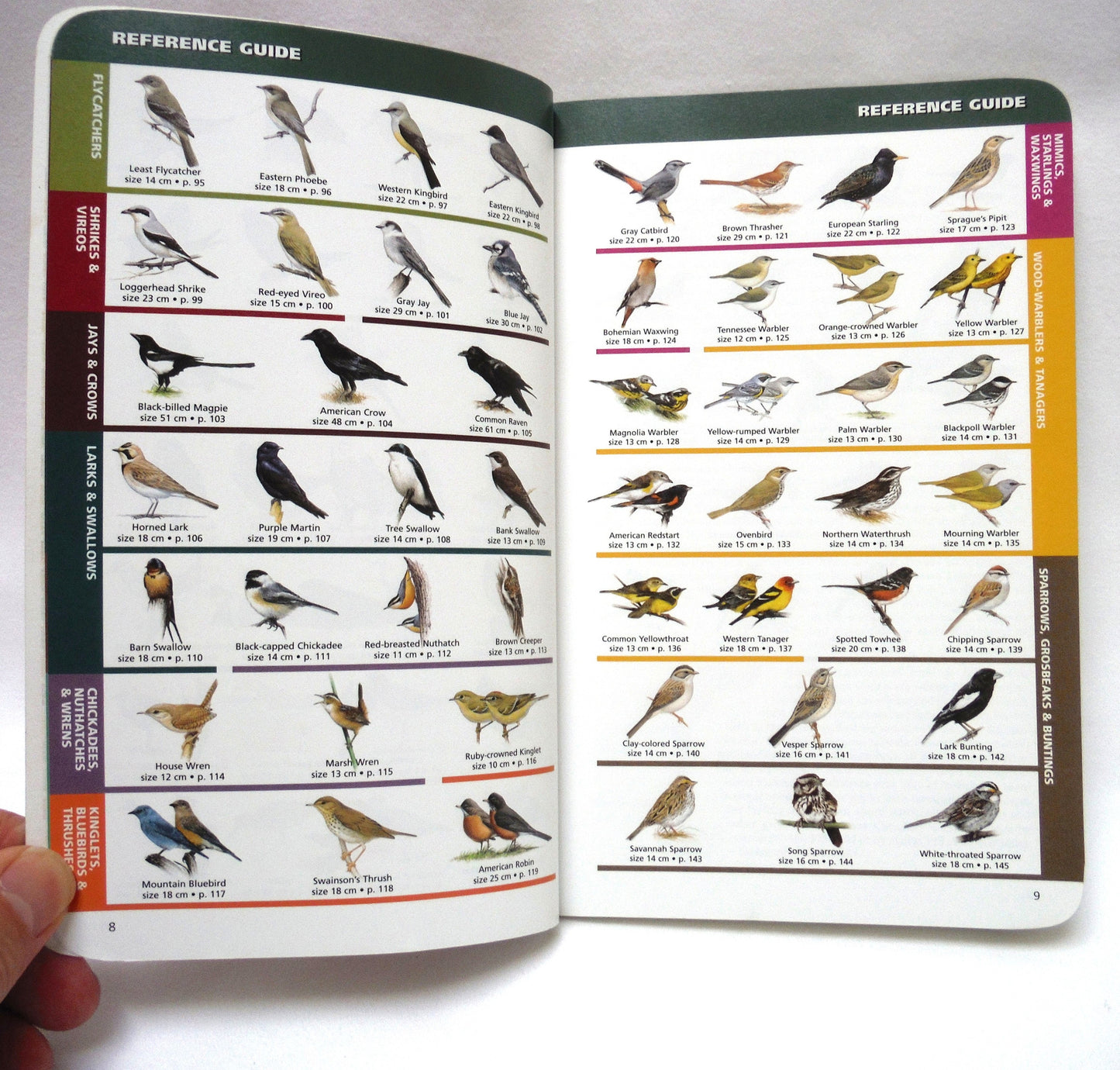 SASKATCHEWAN BIRDS, A Quick Guide to the Bird Groups, by  Alan Smith (2000 1st Ed.)