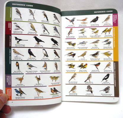 SASKATCHEWAN BIRDS, A Quick Guide to the Bird Groups, by  Alan Smith (2000 1st Ed.)