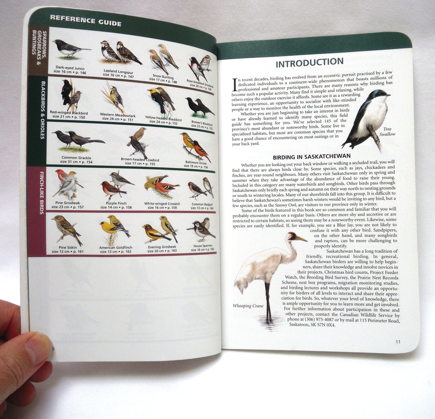 SASKATCHEWAN BIRDS, A Quick Guide to the Bird Groups, by  Alan Smith (2000 1st Ed.)