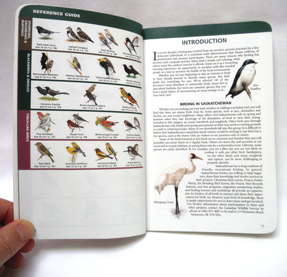 SASKATCHEWAN BIRDS, A Quick Guide to the Bird Groups, by  Alan Smith (2000 1st Ed.)