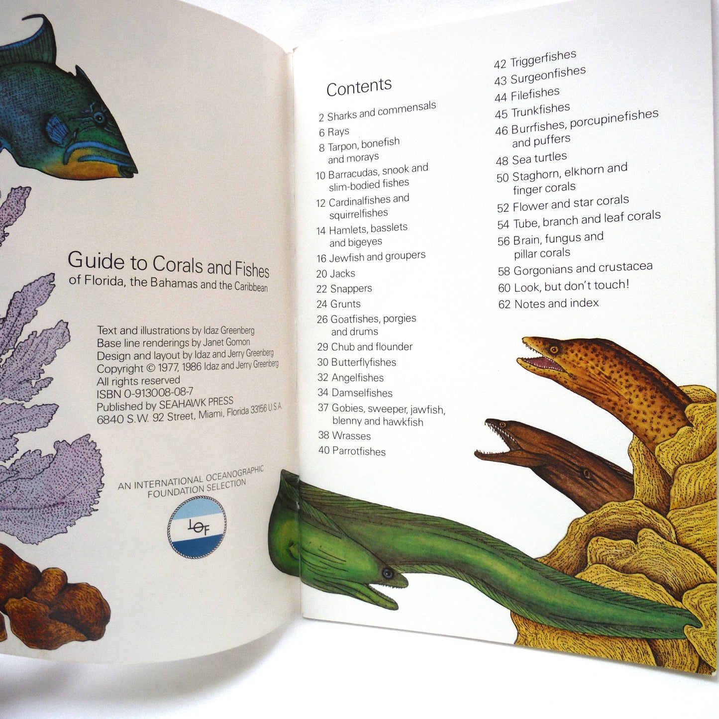 GUIDE TO CORALS & FISHES of Florida, Bahamas, and the Caribbean, by Idaz Greenberg (1986 Ed.)