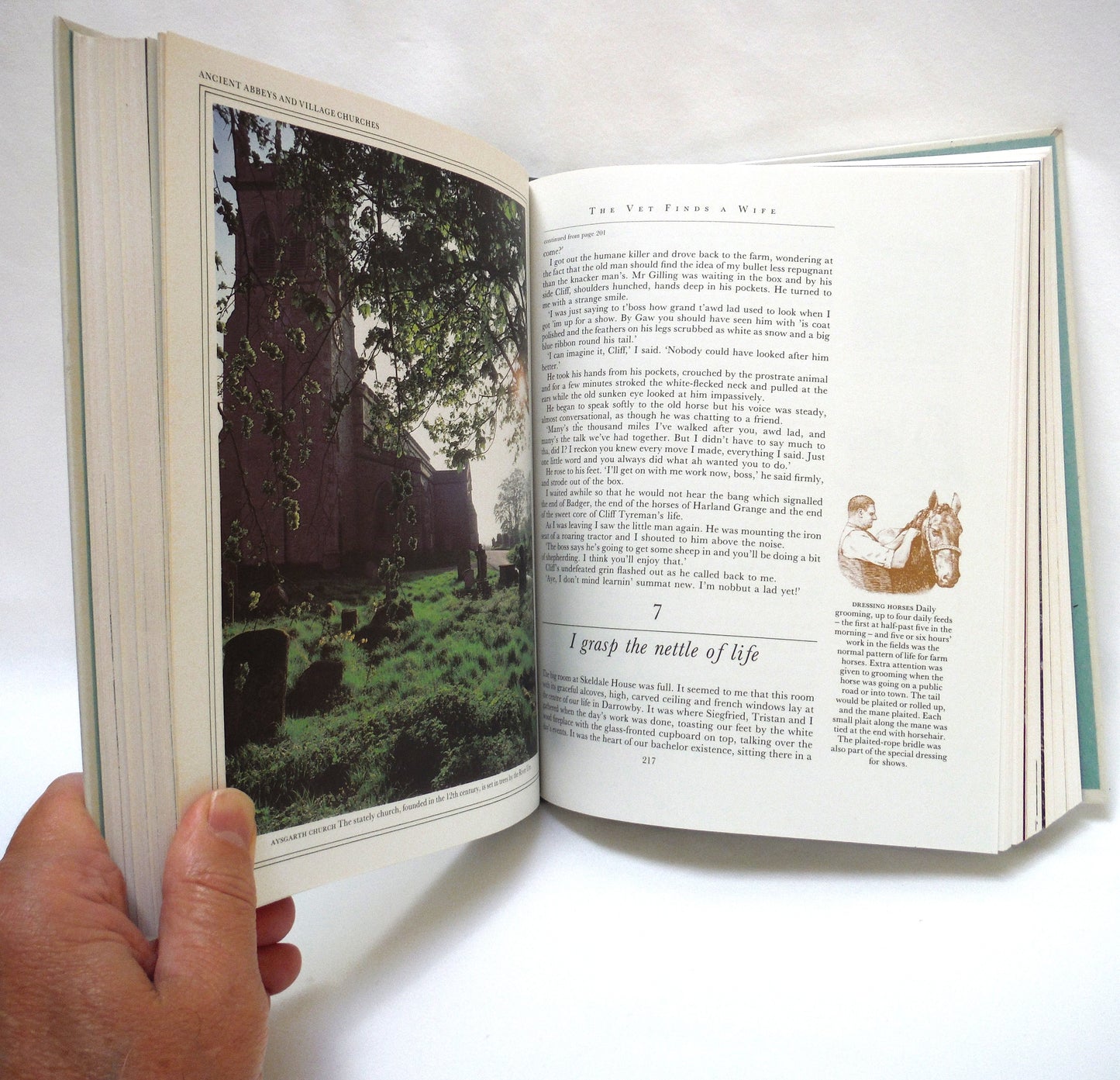 THE BEST OF JAMES HERRIOT: Favourite memories of a Country Vet, by James Herriot (1982 1st Ed.)