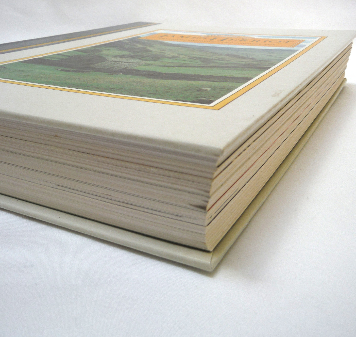 THE BEST OF JAMES HERRIOT: Favourite memories of a Country Vet, by James Herriot (1982 1st Ed.)