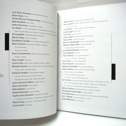 THE WILLISVILLE MOUNTAIN PROJECT: Rock-Spirit-Art Exhibit Catalogue, 2009