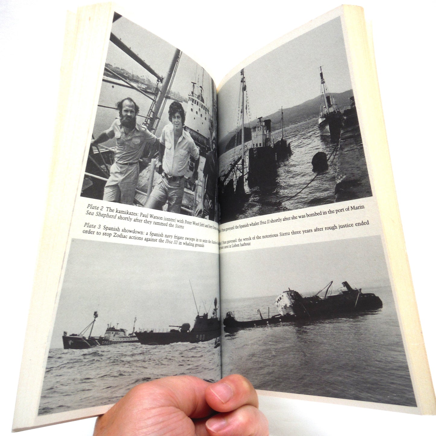 THE WHALE WAR, A tough and timely look at the confrontation between the Save the Whale forces and the whale hunters, by David Day (1st Ed. SIGNED)