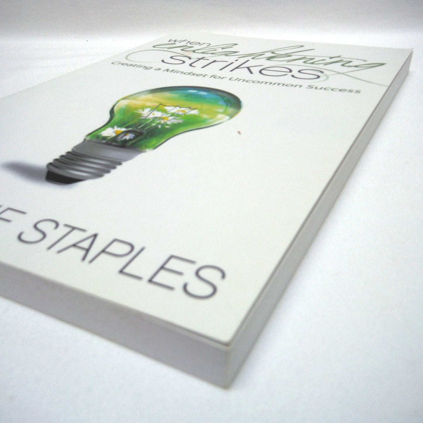 WHEN LIGHTENING STRIKES, Creating a Mindset for Uncommon Success, by Stephanie Staples (1st Ed. SIGNED)