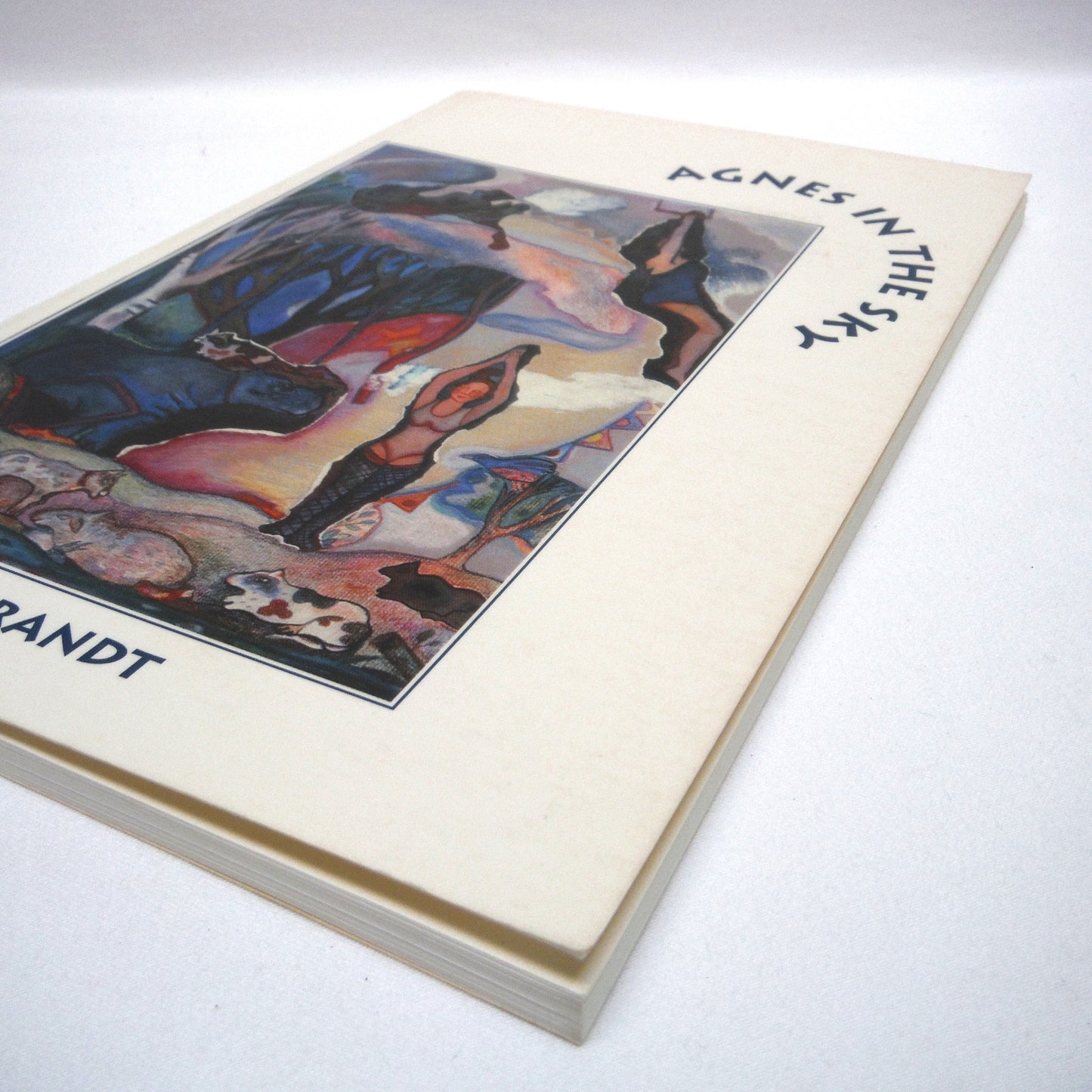 AGNES IN THE SKY, Poems by Di Brandt (1st Ed. SIGNED)