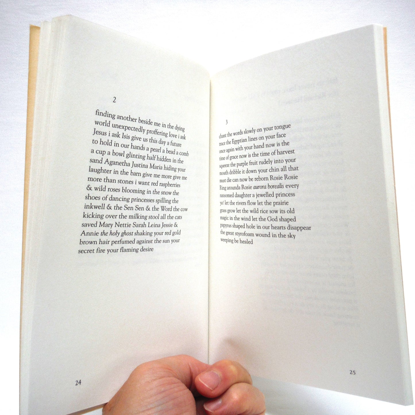 AGNES IN THE SKY, Poems by Di Brandt (1st Ed. SIGNED)